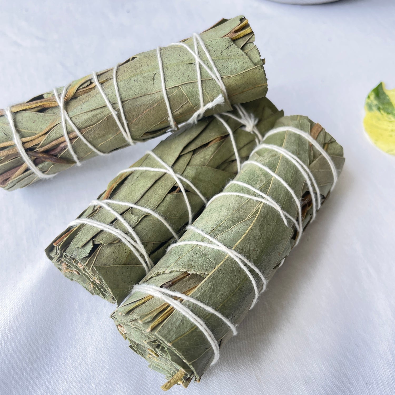 Eucalyptus Cleansing Stick